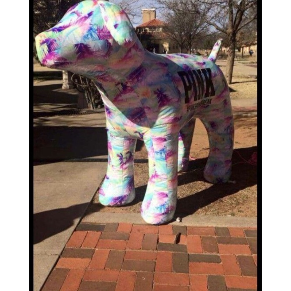 ISO VICTORIA’S SECRET PINK DOG